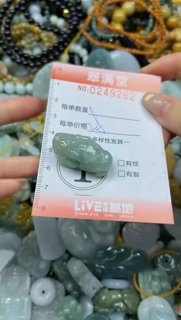 未镶嵌挂件翡翠闪购0249262