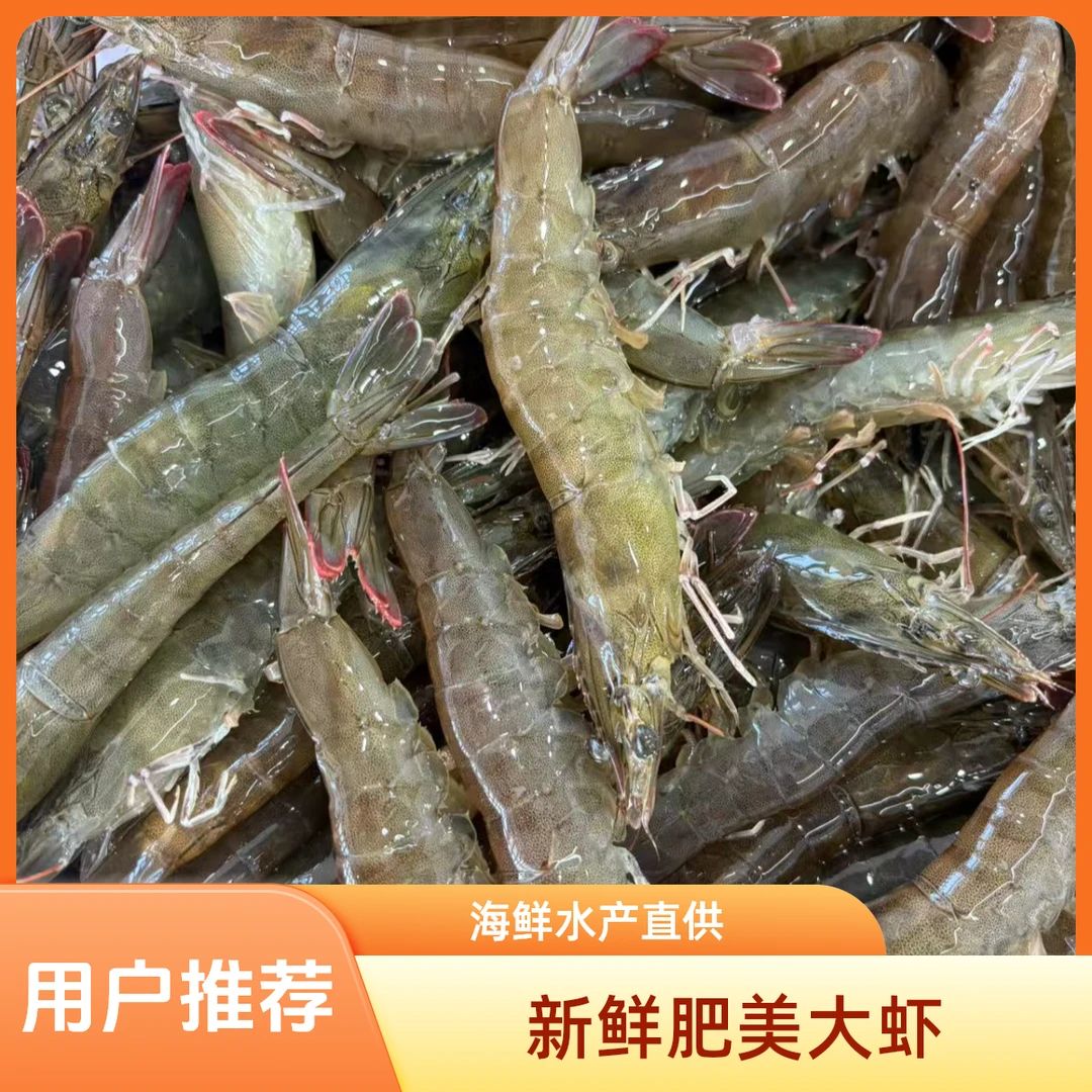 纯海水大虾鲜活超大6斤大虾