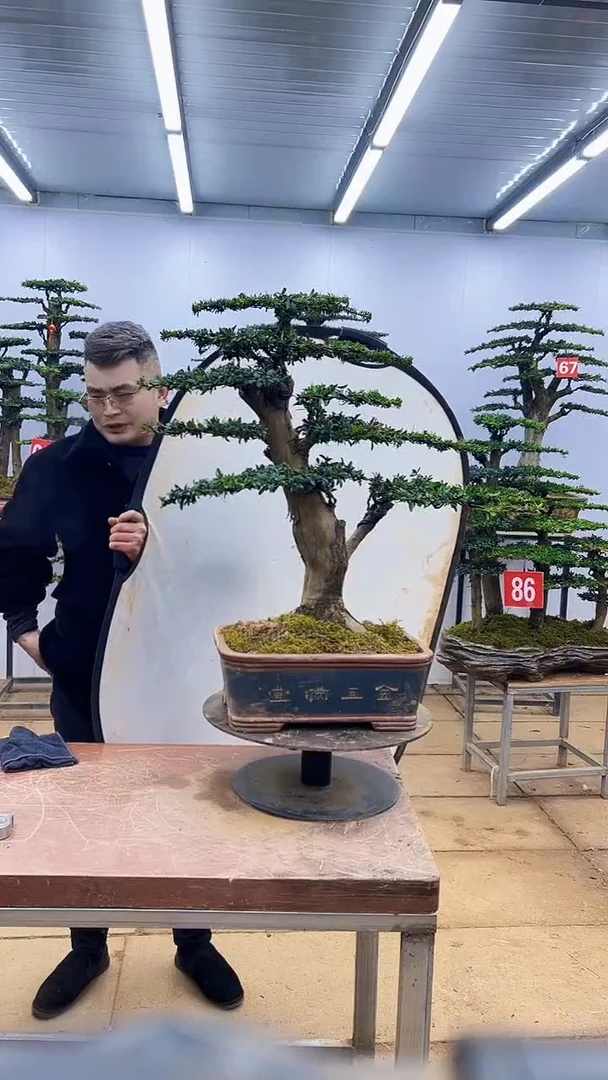 【闪购商品】一物一拍，所见即所得