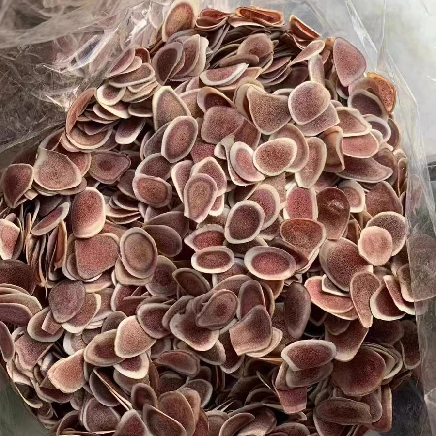 K【乡村助农】1鹿茸片10g干片小片精选可搭红枣红枸杞