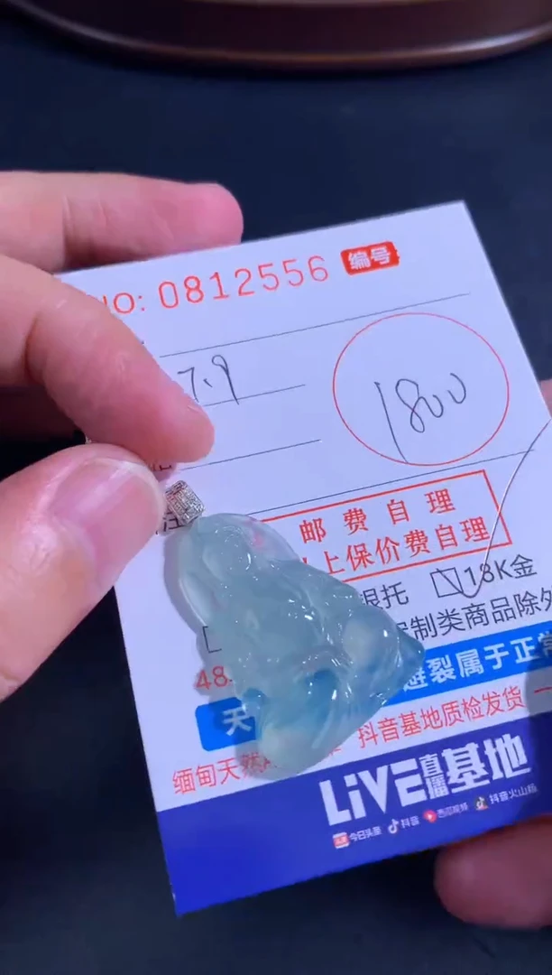 翡翠未镶嵌颈饰天然A货翡翠