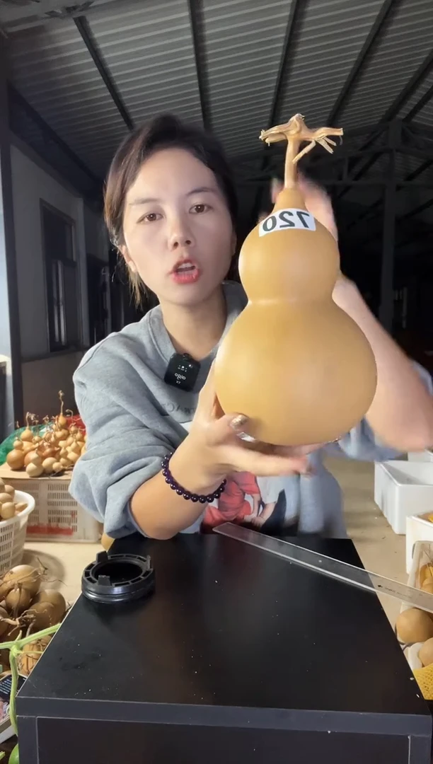 720天然葫芦摆件 一物一拍龙头不保售后有瑕疵