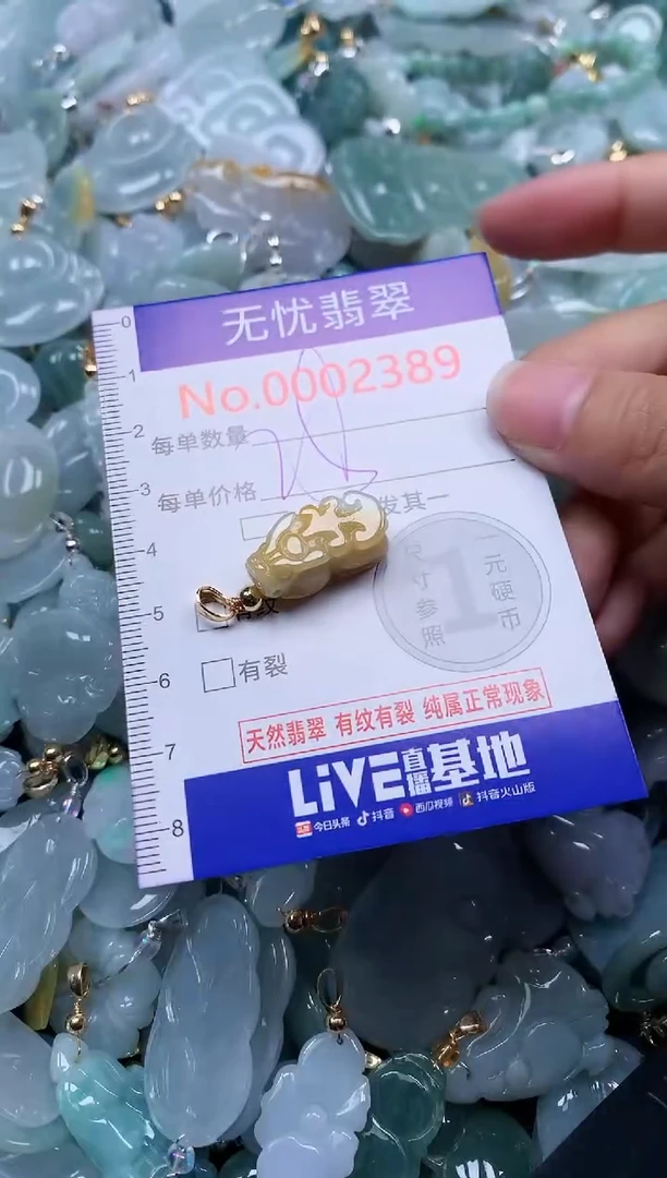 颈饰未镶嵌翡翠2389