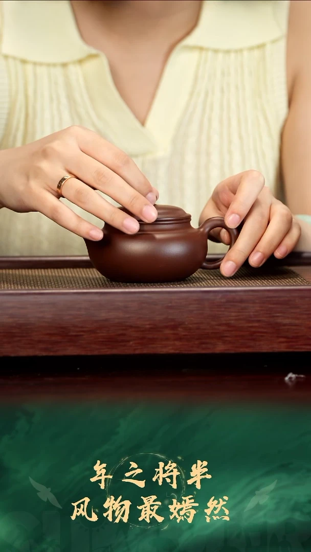 茶壶紫砂56号 紫砂壶   珽珽孤品放漏SUOYOU