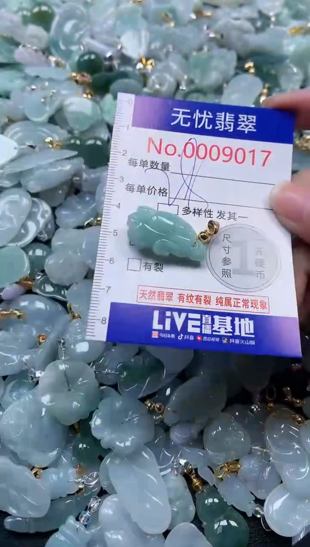颈饰未镶嵌翡翠9017