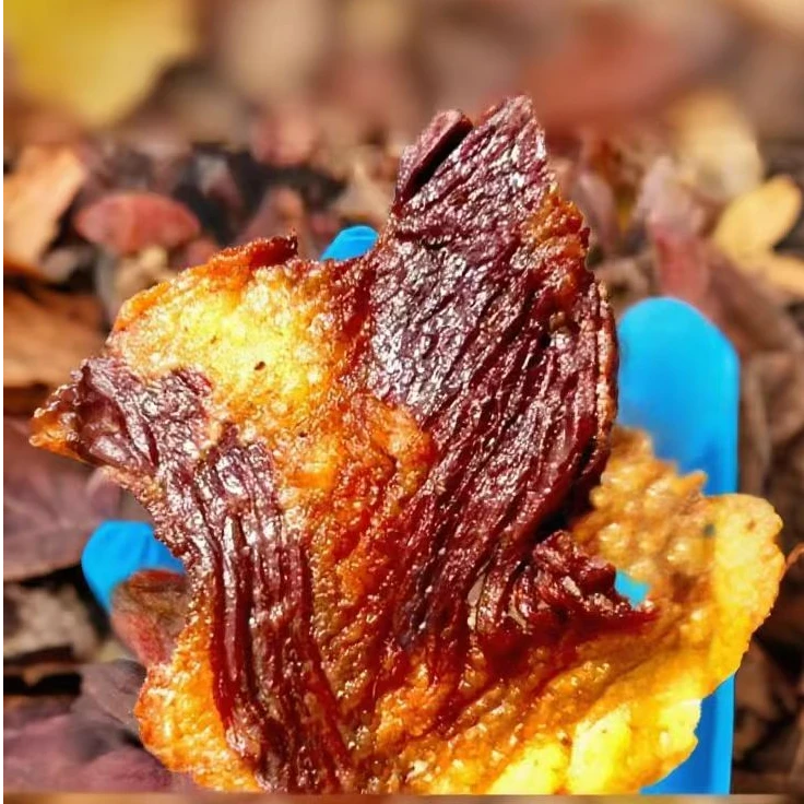 牛肉零食内蒙古牛胸口肉干肥瘦相间牛胸口肉