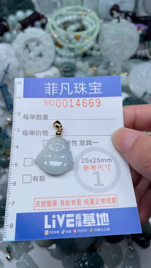 颈饰未镶嵌翡翠14669