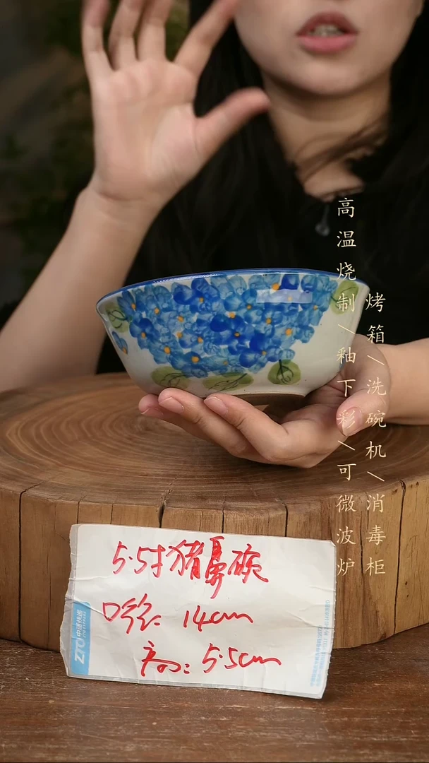 碗瓷景德镇手工手绘高温瓷釉下彩