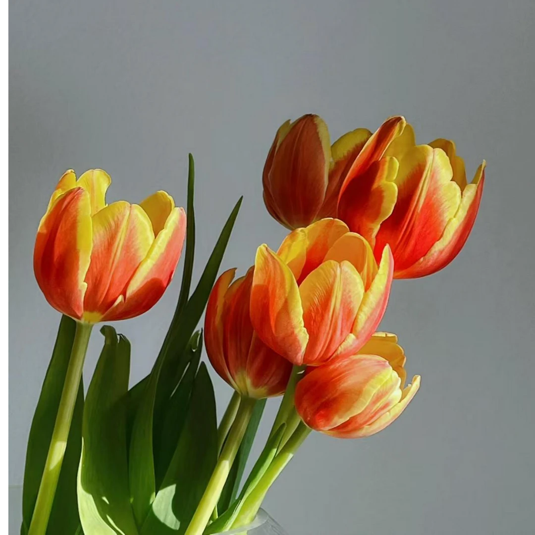 【 丹麦】鲜切花养护东北基地直发观赏高颜值生活叶子漂亮组合