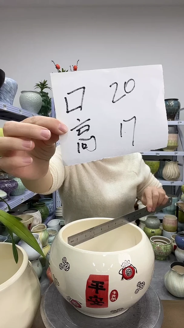 11.30陶瓷花盆直播链接高.17      口20