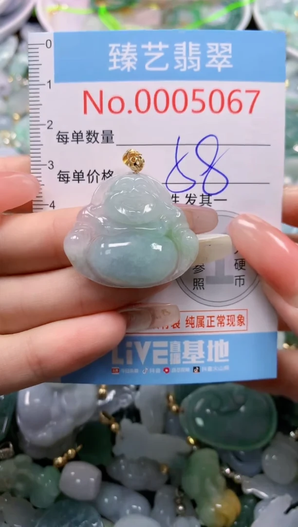 翡翠未镶嵌吊坠(不含链)5067