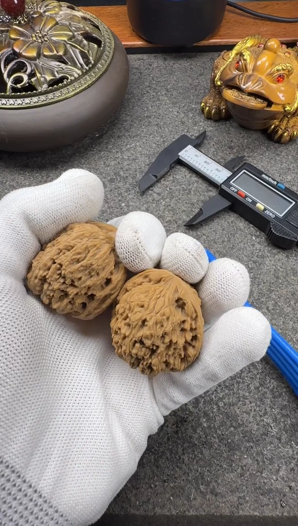 麻核桃文玩南疆石
