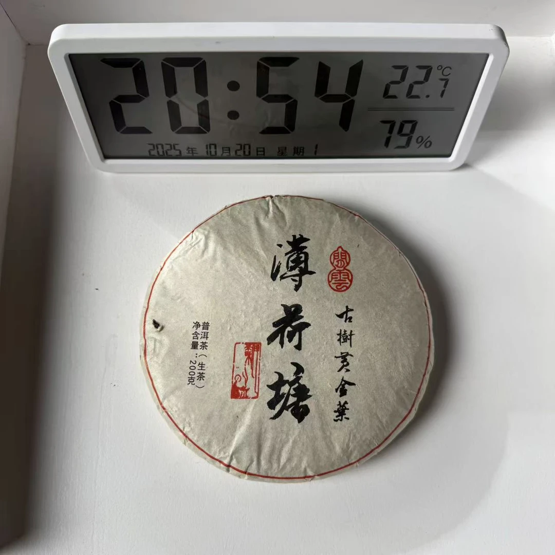 C04-赵继良-2025年薄荷塘黄片普洱茶生茶（饼茶）