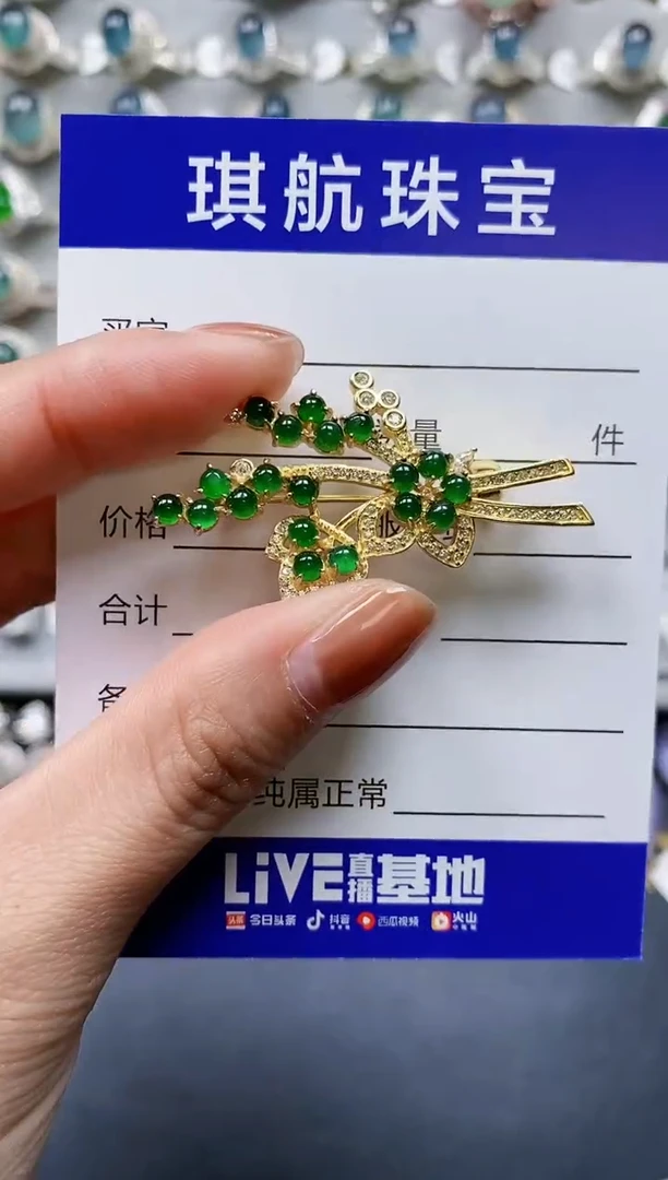 【闪购商品】翡翠颈饰银S925镶嵌0467