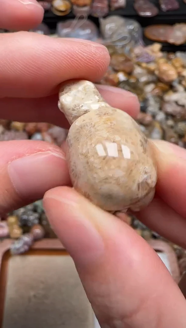 硅化珊瑚（珊瑚玉）未镶嵌颈饰050