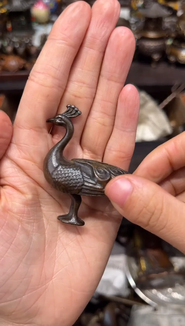 瑞瑞古铜准备开播B870707