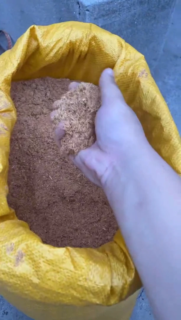 柏木（崖柏）南**子太行陈化崖柏锯末一斤（津诚林）