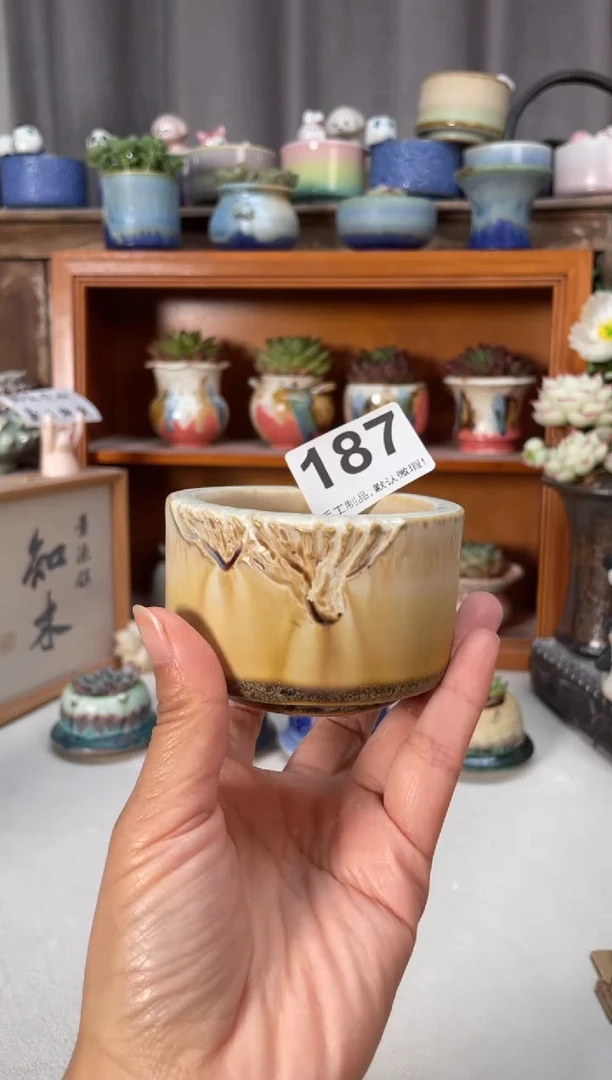 瓷片187小芳直播编号