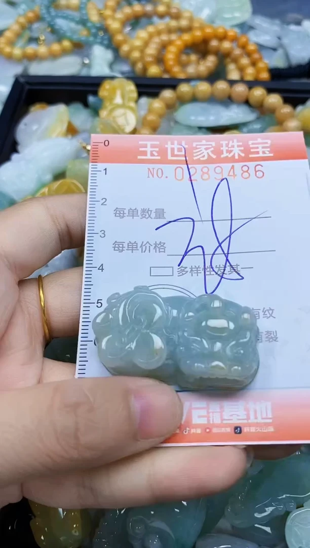 翡翠未镶嵌颈饰闪购0289486
