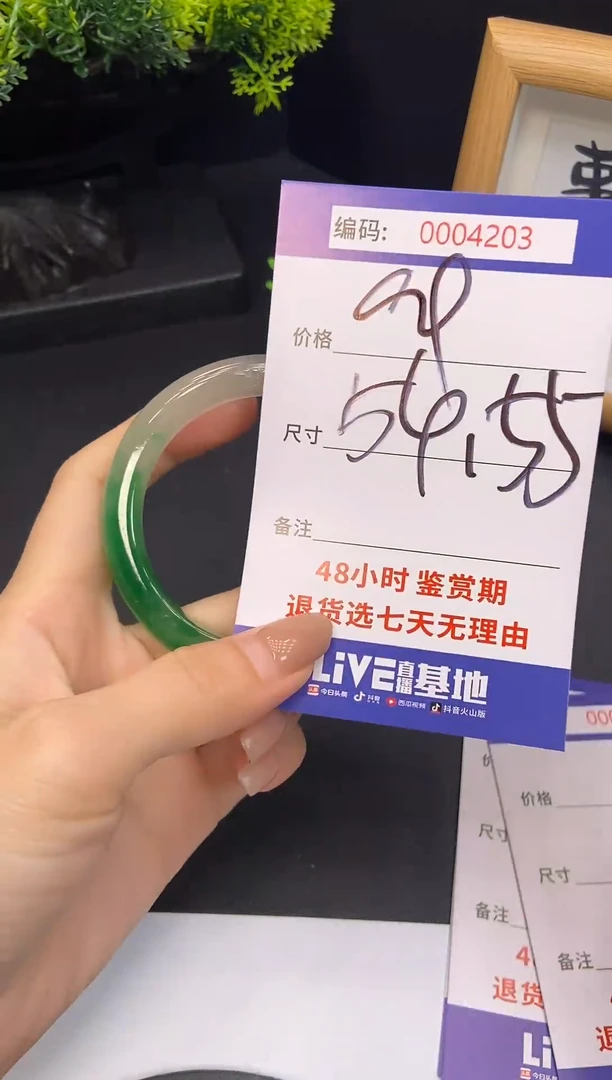 未镶嵌手镯翡翠0004203