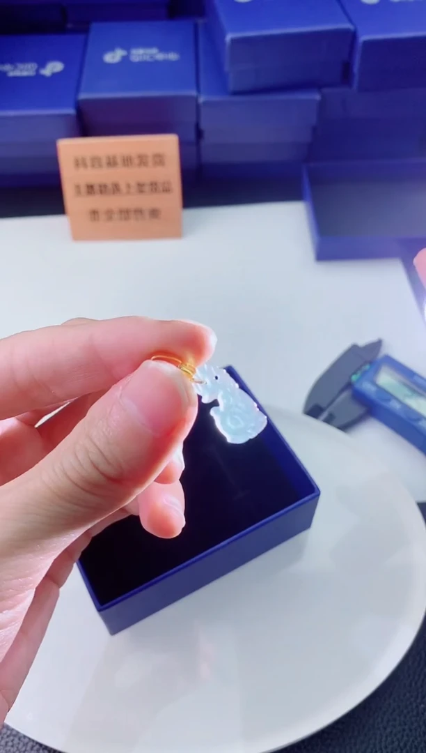 翡翠未镶嵌颈饰