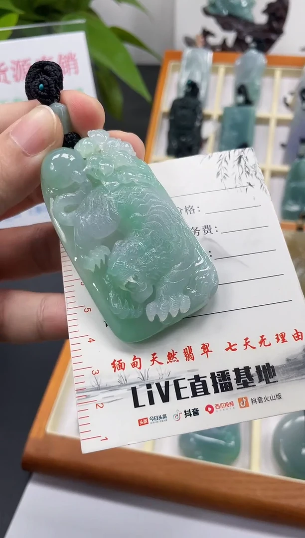 【闪购商品】翡翠颈饰未镶嵌虎