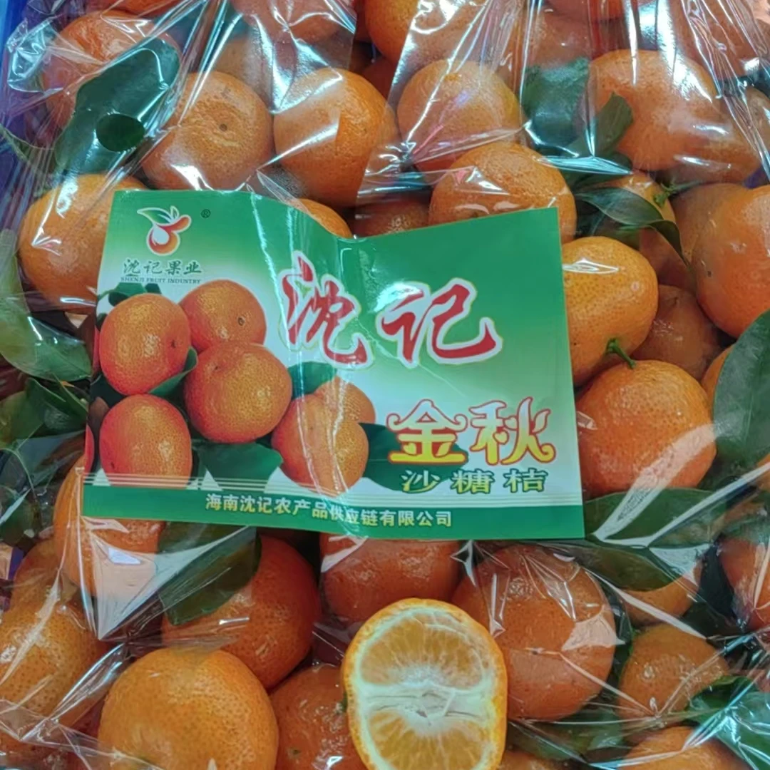 广西砂糖橘约4斤广西壮族自治区