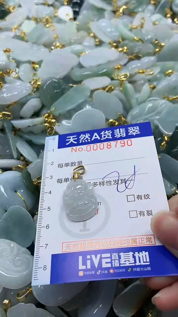 颈饰未镶嵌翡翠纯天然a货翡翠