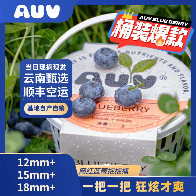AUV【300+200g/桶】基地自销蓝莓鲜果云南高山花香品种花青素水果