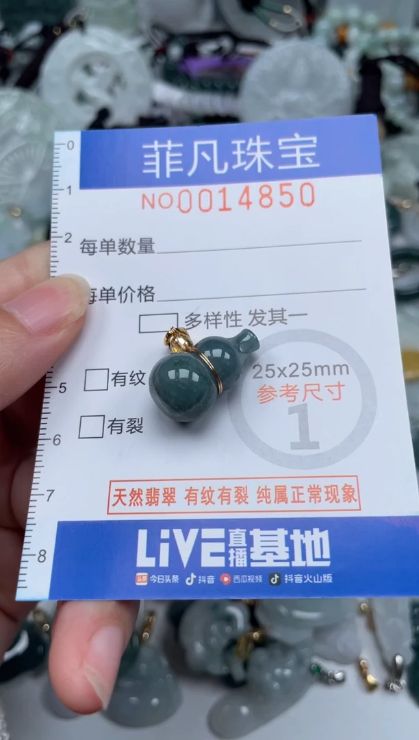 颈饰未镶嵌翡翠14850