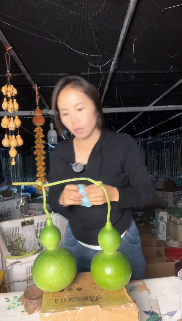 419天然葫芦摆件 一物一拍龙头不保售后