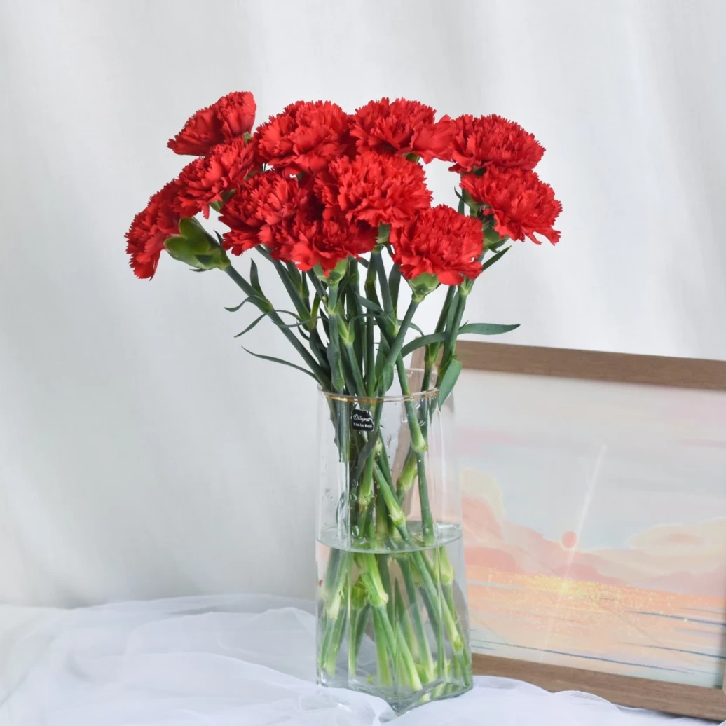 【家居瓶插花】红色康乃馨10支 同城配送（单拍不送）