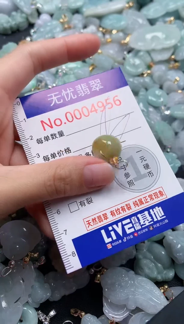 颈饰未镶嵌翡翠4956