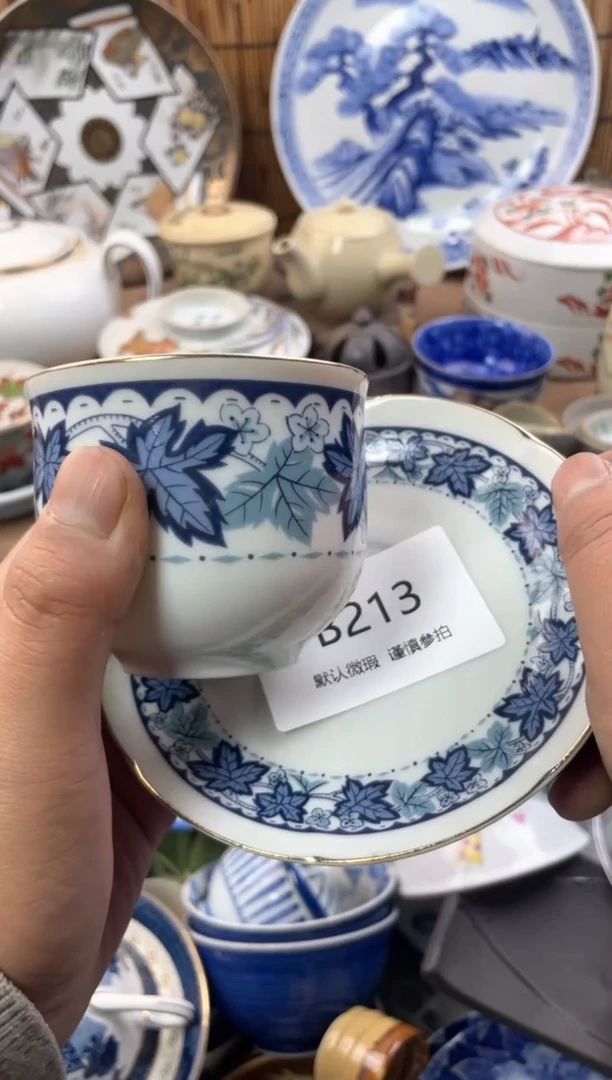 【闪购商品】日式中古no退no换默认微瑕B213