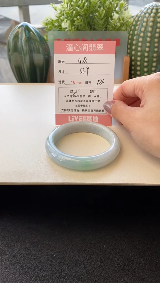 未镶嵌手镯翡翠圈口56.9编码A08