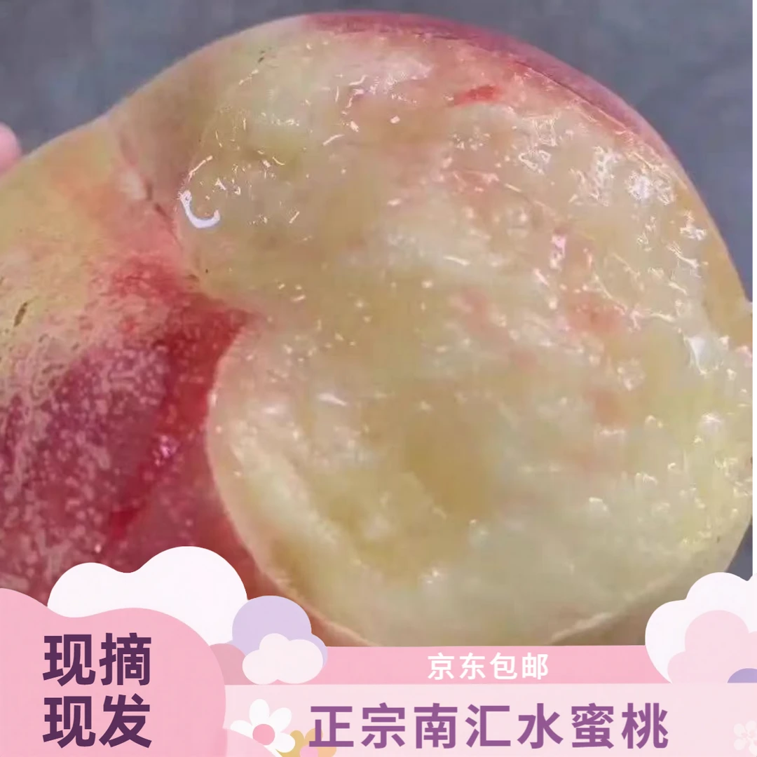 【正宗南汇水蜜桃】南汇大团蜜露水蜜桃当季鲜果新鲜采摘现摘现发上海市