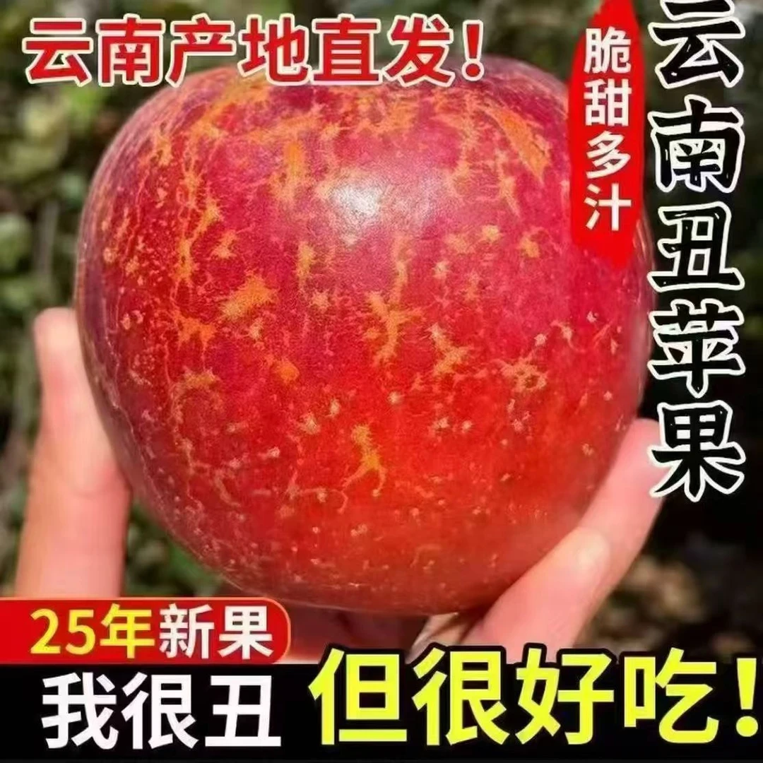 云南昭通丑苹果脆甜多汁冰糖心新鲜水果产地现摘包邮