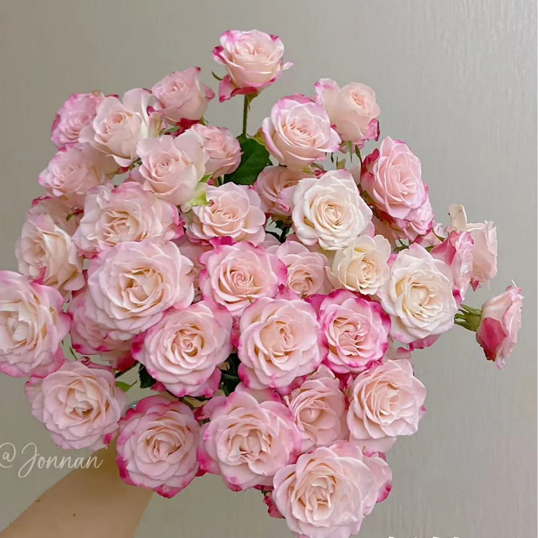 【噗噗花舍】折射多头泡泡10支