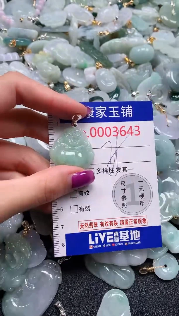 颈饰未镶嵌翡翠3643