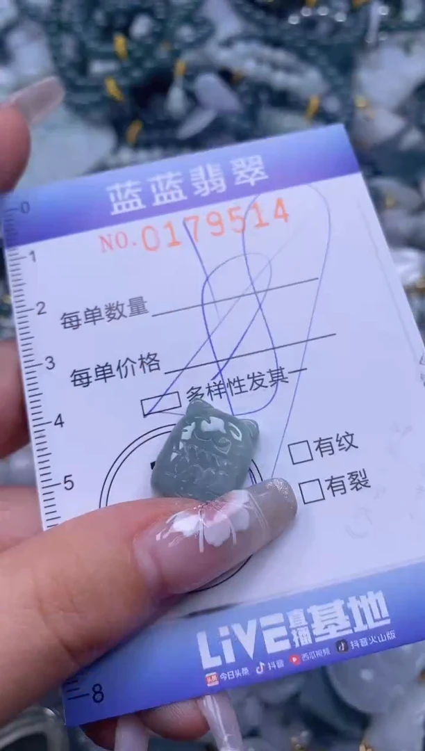 【闪购商品】翡翠颈饰未镶嵌闪购0179514多样性发其一