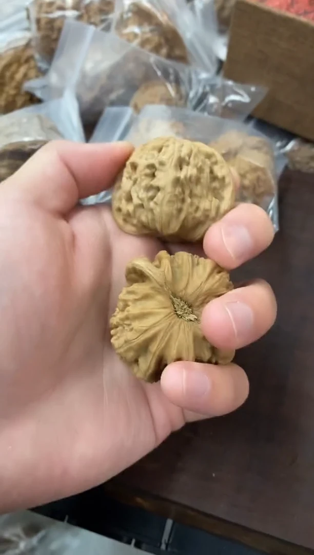 核桃【白狮子44尺寸】超级福利仅3单！