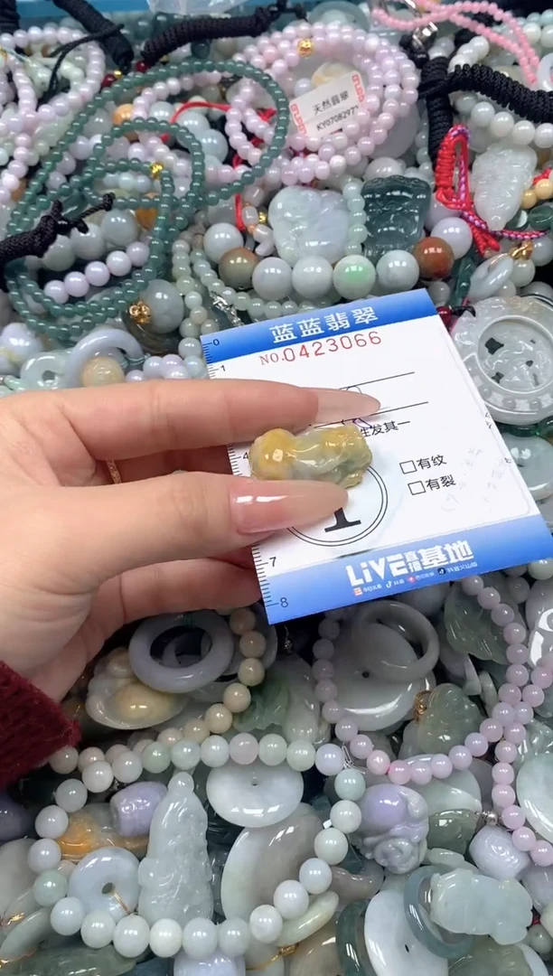 颈饰未镶嵌翡翠闪购0423066