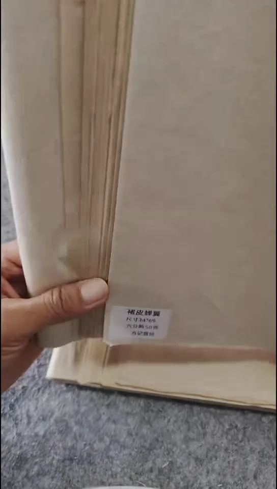 四尺四开楮皮蝉翼