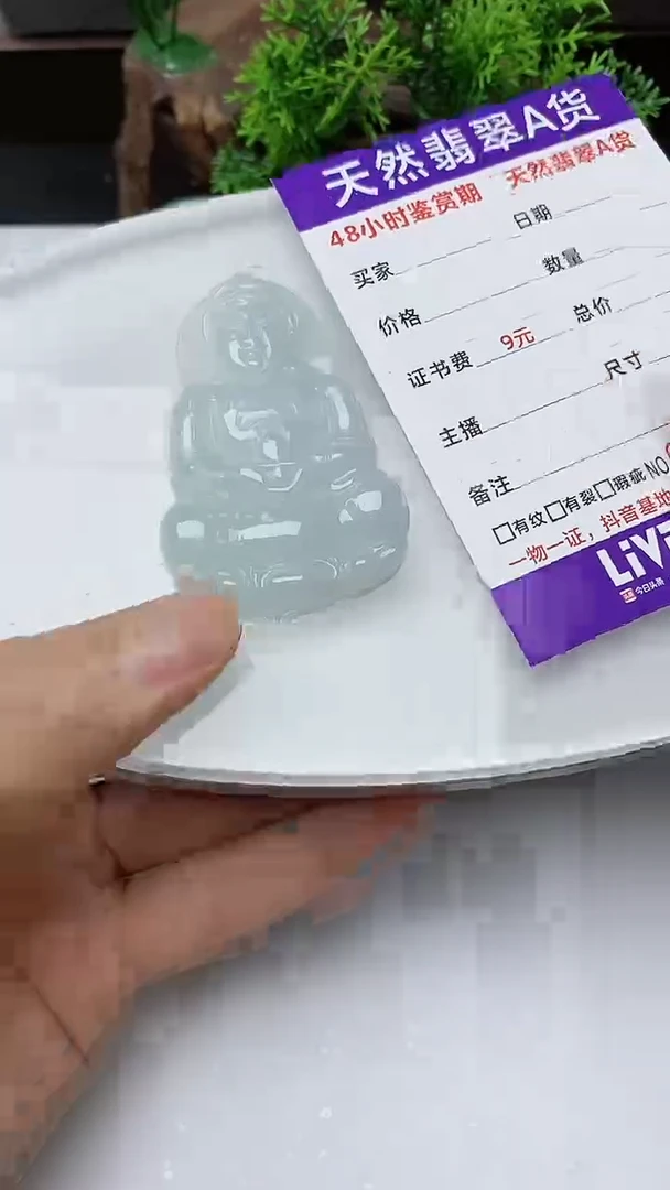 【闪购商品】翡翠颈饰未镶嵌多样性发其一