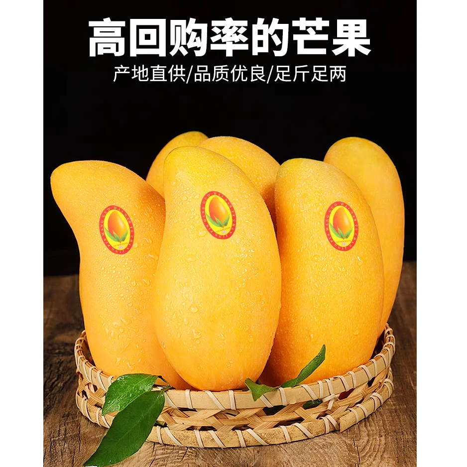海南金黄芒新鲜水果包邮应季整箱现摘
