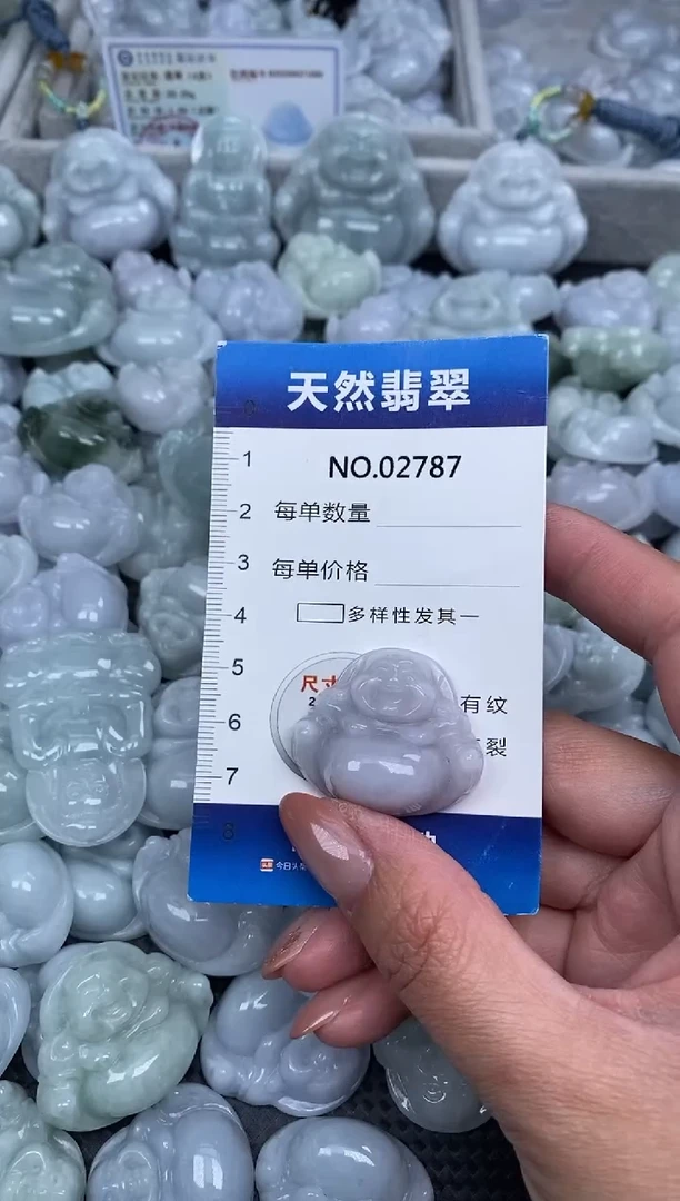 颈饰未镶嵌翡翠纯天然A货翡翠2787