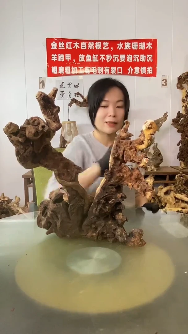 香榧木快****！金丝红木 羊蹄甲