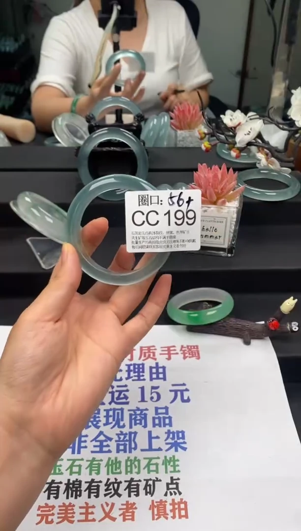 CC199专拍链接一物一拍以截图为准