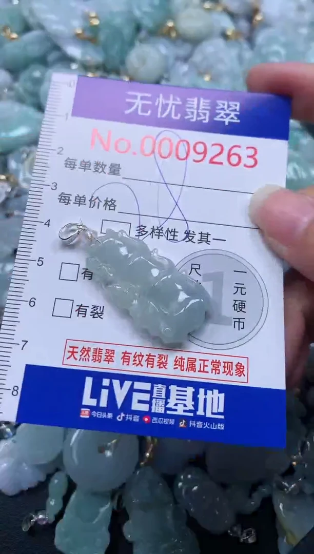 颈饰未镶嵌翡翠9263