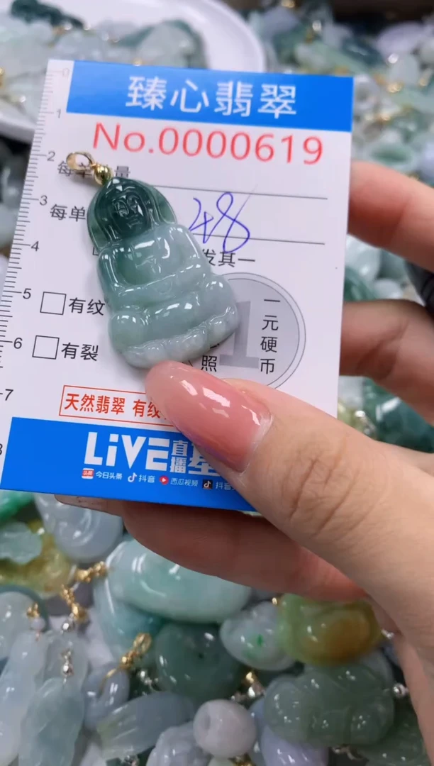 翡翠未镶嵌颈饰619